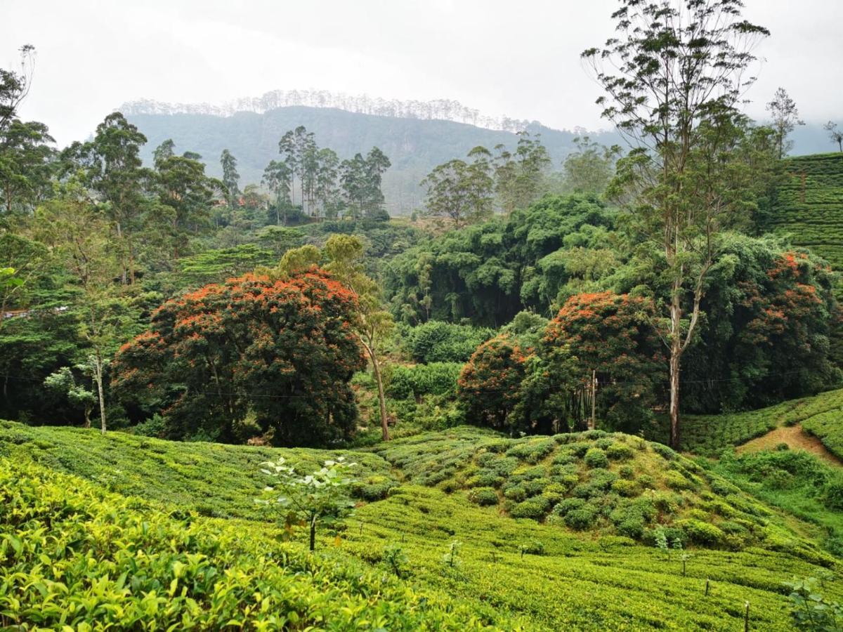 Butterfly Mountain Lake Side Maskeliya Buitenkant foto