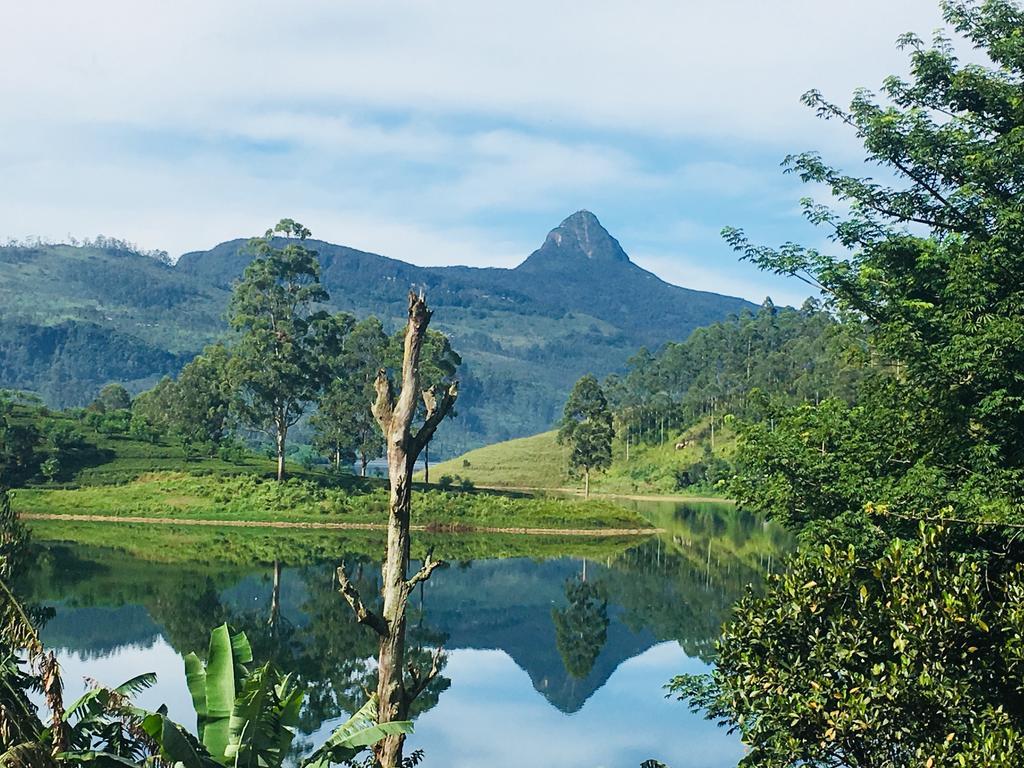 Butterfly Mountain Lake Side Maskeliya Buitenkant foto