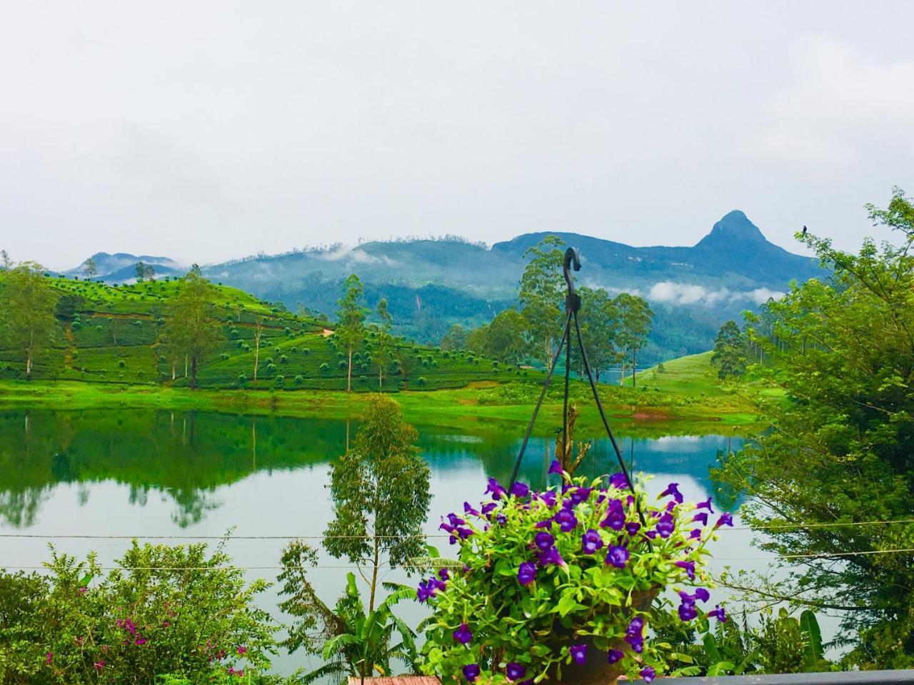 Butterfly Mountain Lake Side Maskeliya Buitenkant foto